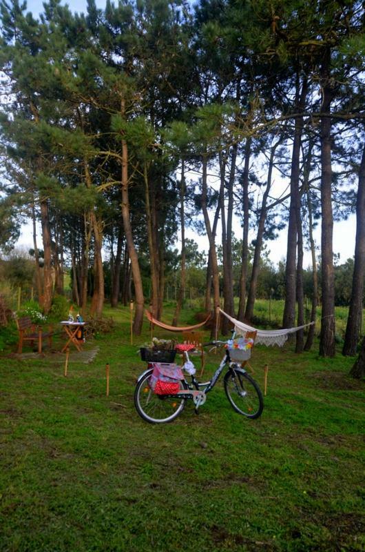Happy Cat House - Holiday Rental Sao Martinho do Porto Exterior photo