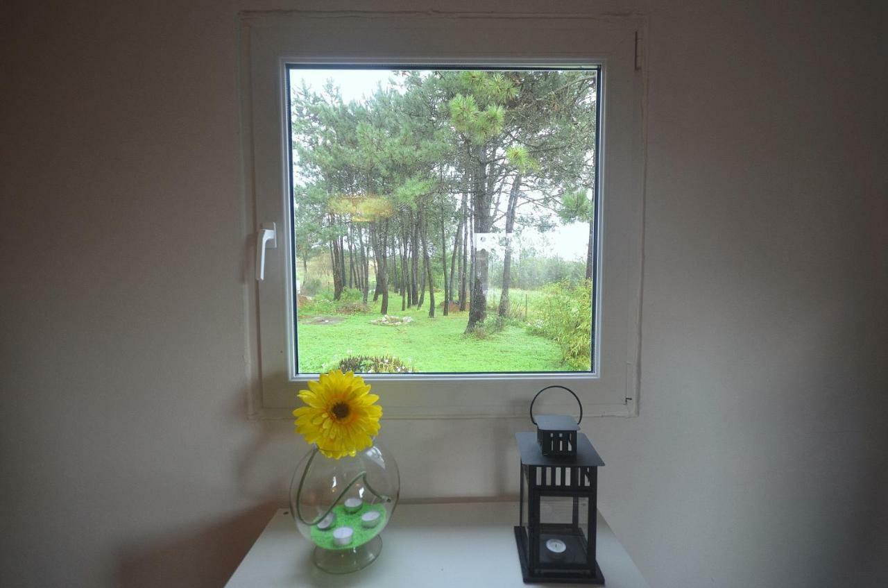 Happy Cat House - Holiday Rental Sao Martinho do Porto Exterior photo